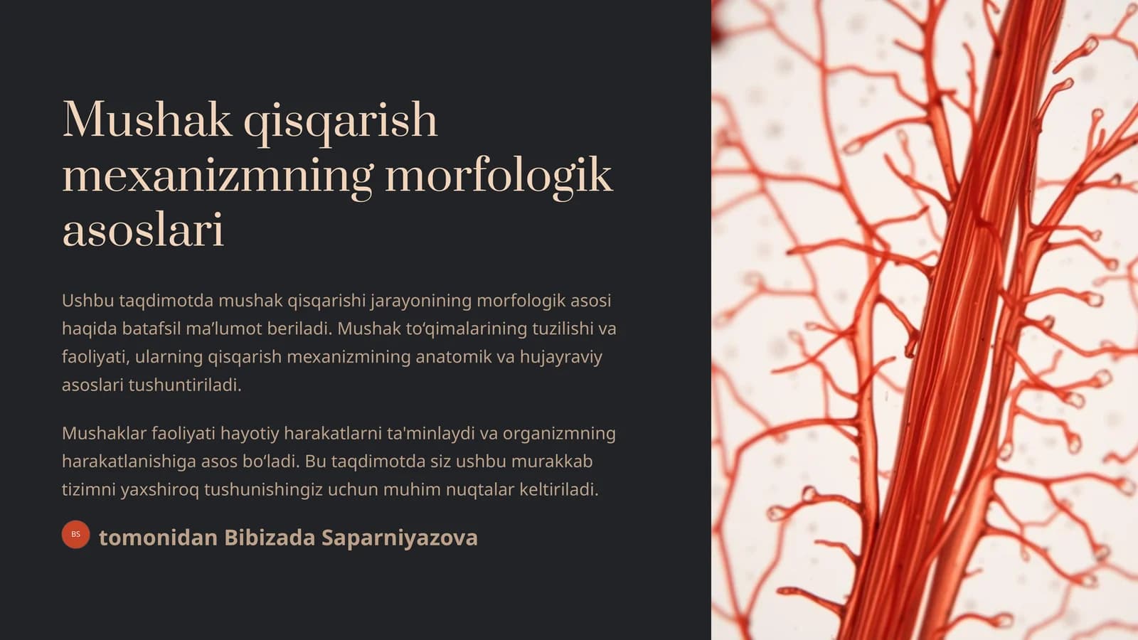 Mushak qisqarish mexanizmning morfologik asoslari