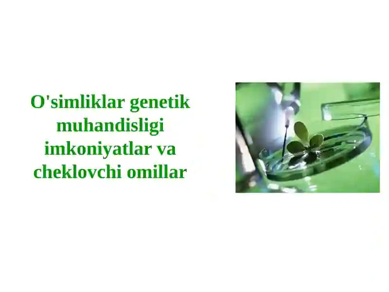 O'simliklargenetik muhandisligi imkoniyatlar va cheklovchi omillar
