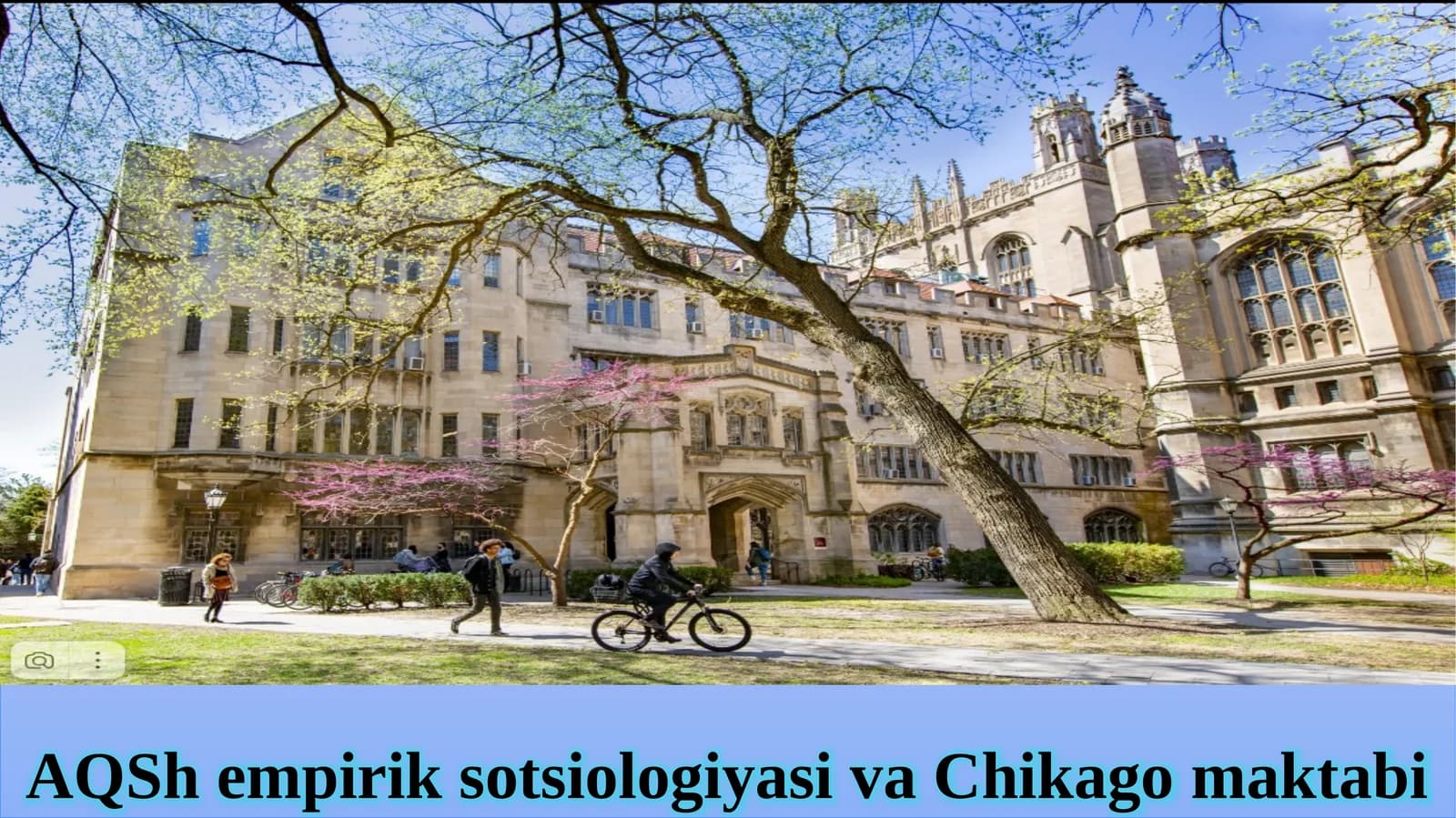 AQSh empirik sotsiologiyasi va Chikago maktabi