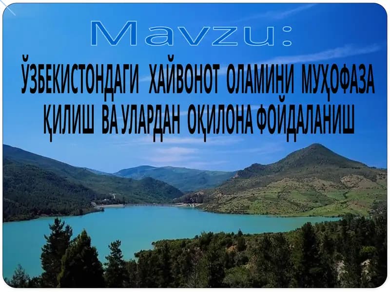 ЎЗБЕКИСТОНДАГИ ХАЙВОНОТОЛАМИНИ МУҲОФАЗА ҚИЛИШ ВА УЛАРДАН ФОЙДАЛАНИШ