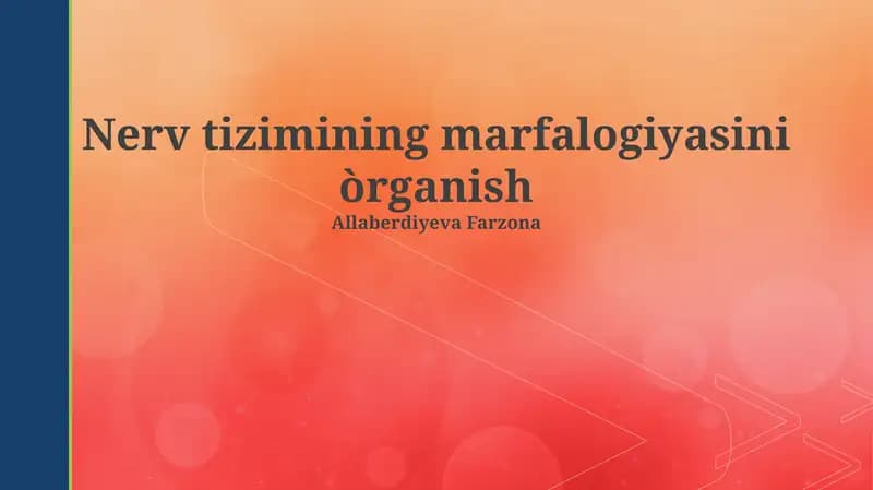 Nerv tizimining marfalogiyasini òrganish
