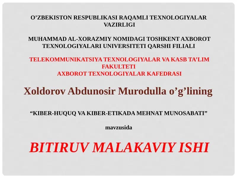 KIBER-HUQUQ VA KIBER-ETIKADA MEHNAT MUNOSABATI
