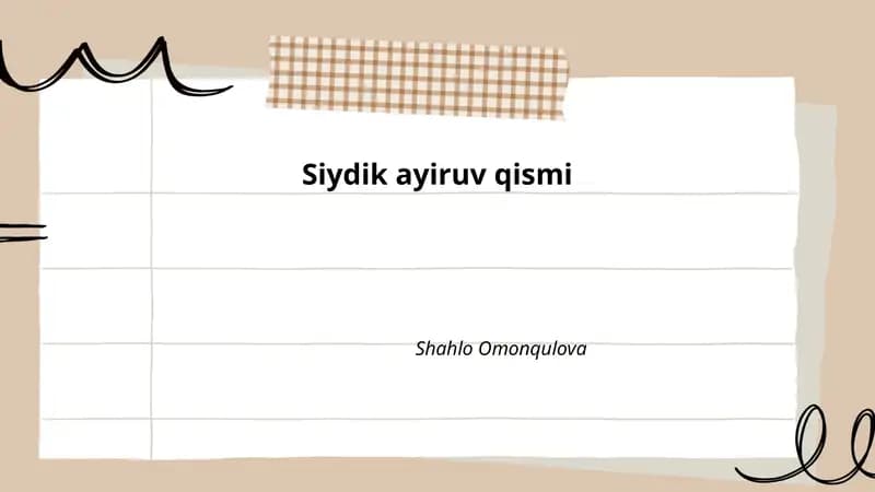 Siydik ayiruv qismi