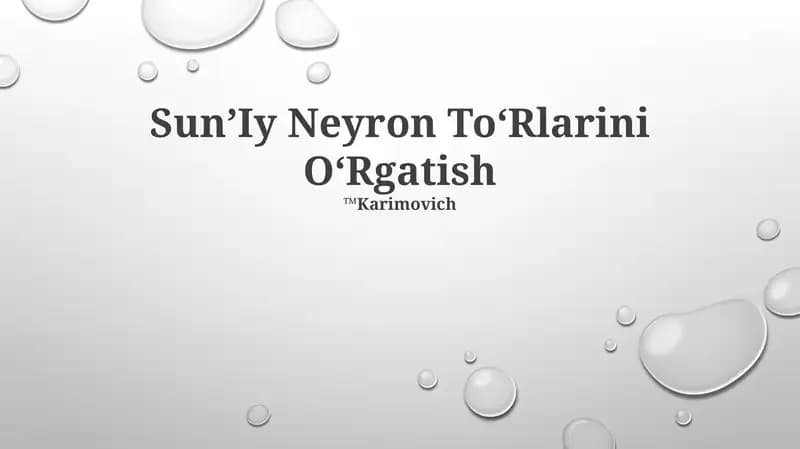 Sun’Iy Neyron To‘Rlarini O‘Rgatish