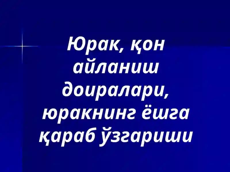 Юрак