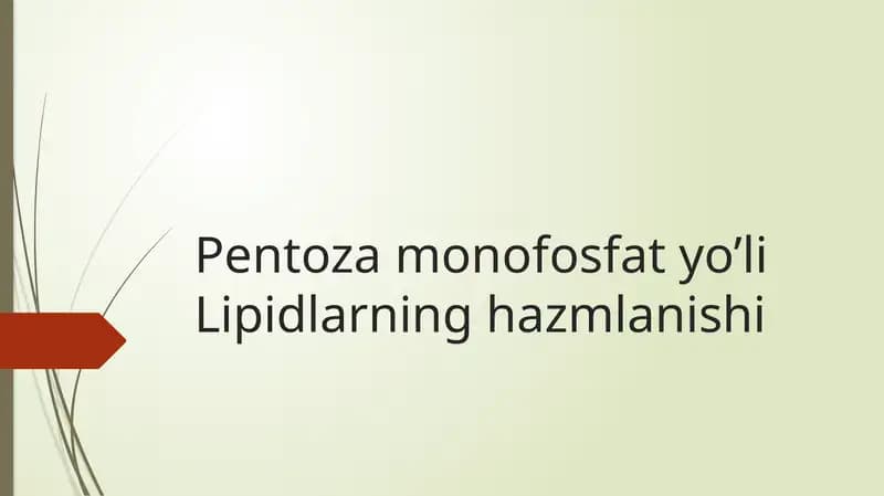 Pentoza monofosfat yo’li Lipidlarning hazmlanishi