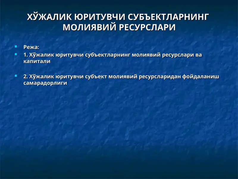 ХЎЖАЛИК ЮРИТУВЧИ СУБЪЕКТЛАРНИНГ МОЛИЯВИЙ РЕСУРСЛАРИ