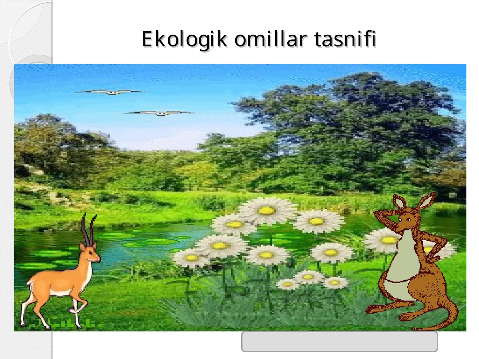 Ekologik omillar tasnifi
