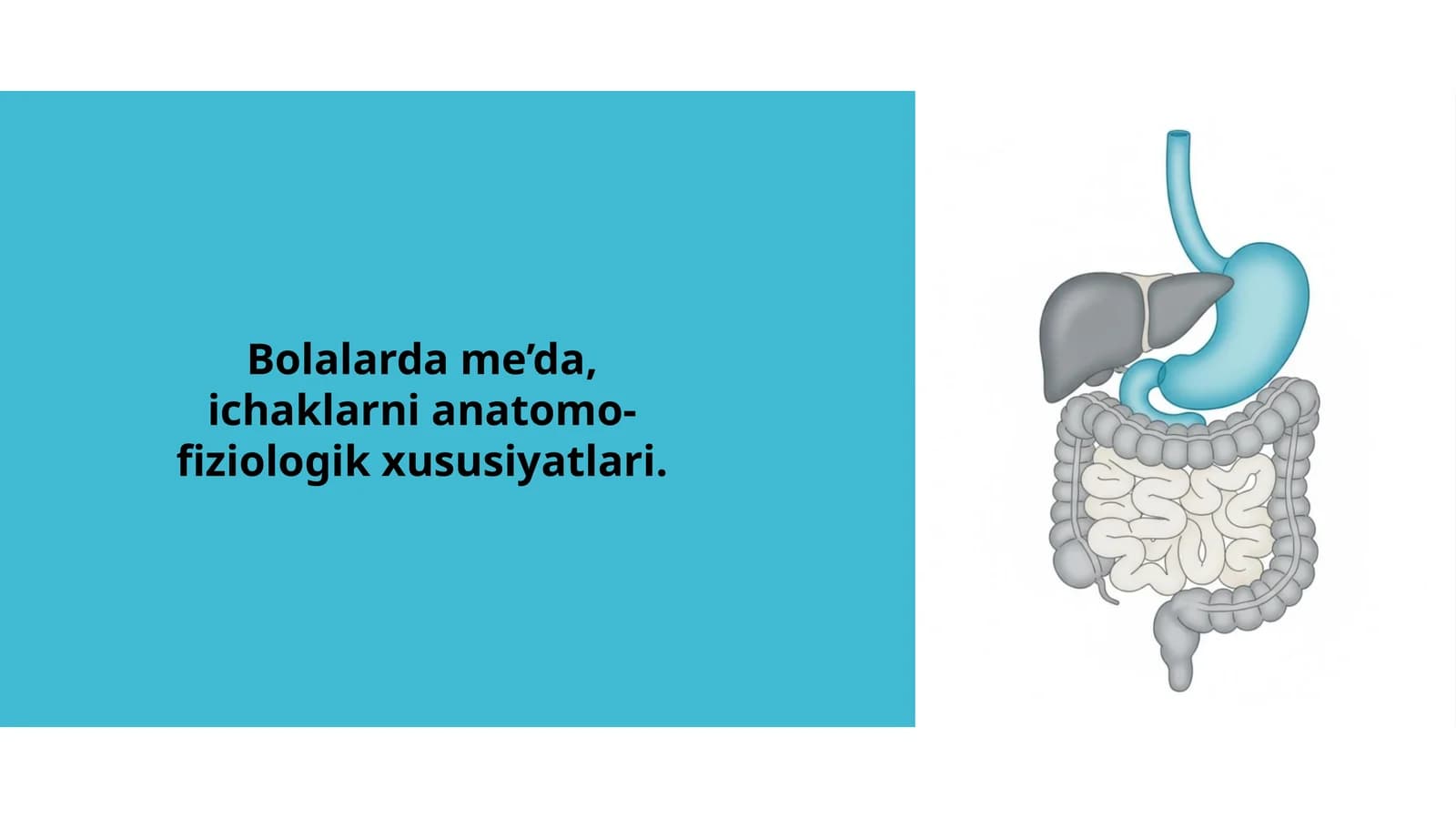 Bolalarda me’da va ichaklarning anatomo-fiziologik xususiyatlari | Pediatriya uchun taqdimot