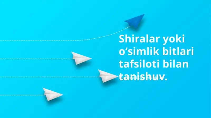Shiralarga Qarshi Kurash Usullari