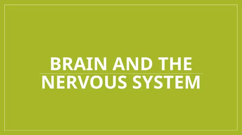 Brain and the Nervous System