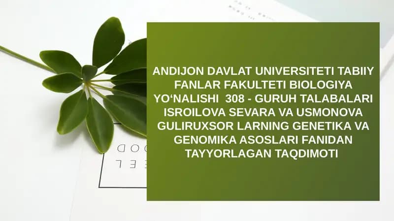 DNKreplikatsiyasi