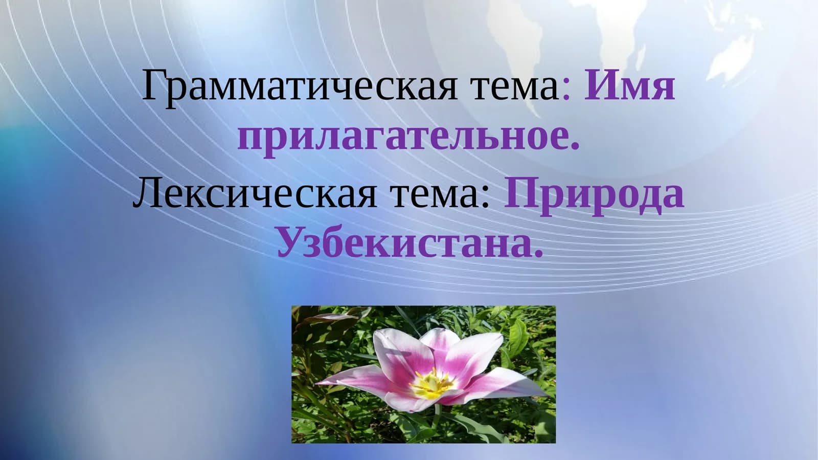 Имя прилагательное