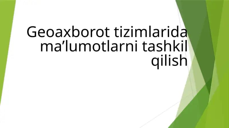 Geoaxborot tizimlarida ma’lumotlarni tashkil qilish