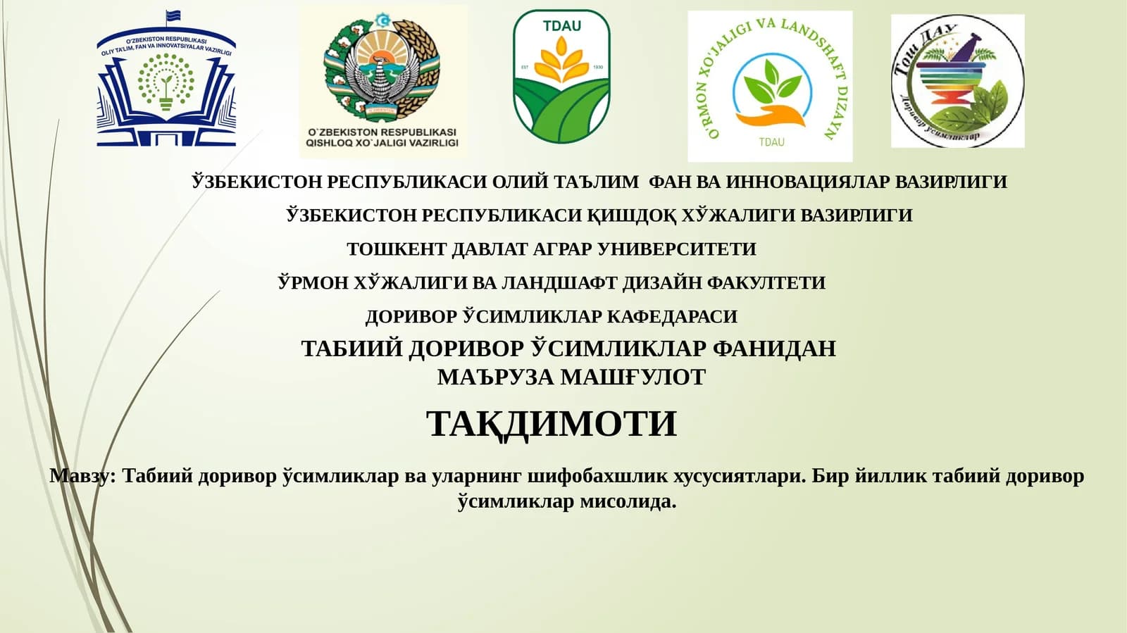 Табиий доривор ўсимликлар ва уларнинг шифобахшлик хусусиятлари. Бир йиллик табиий доривор ўсимликлар мисолида.
