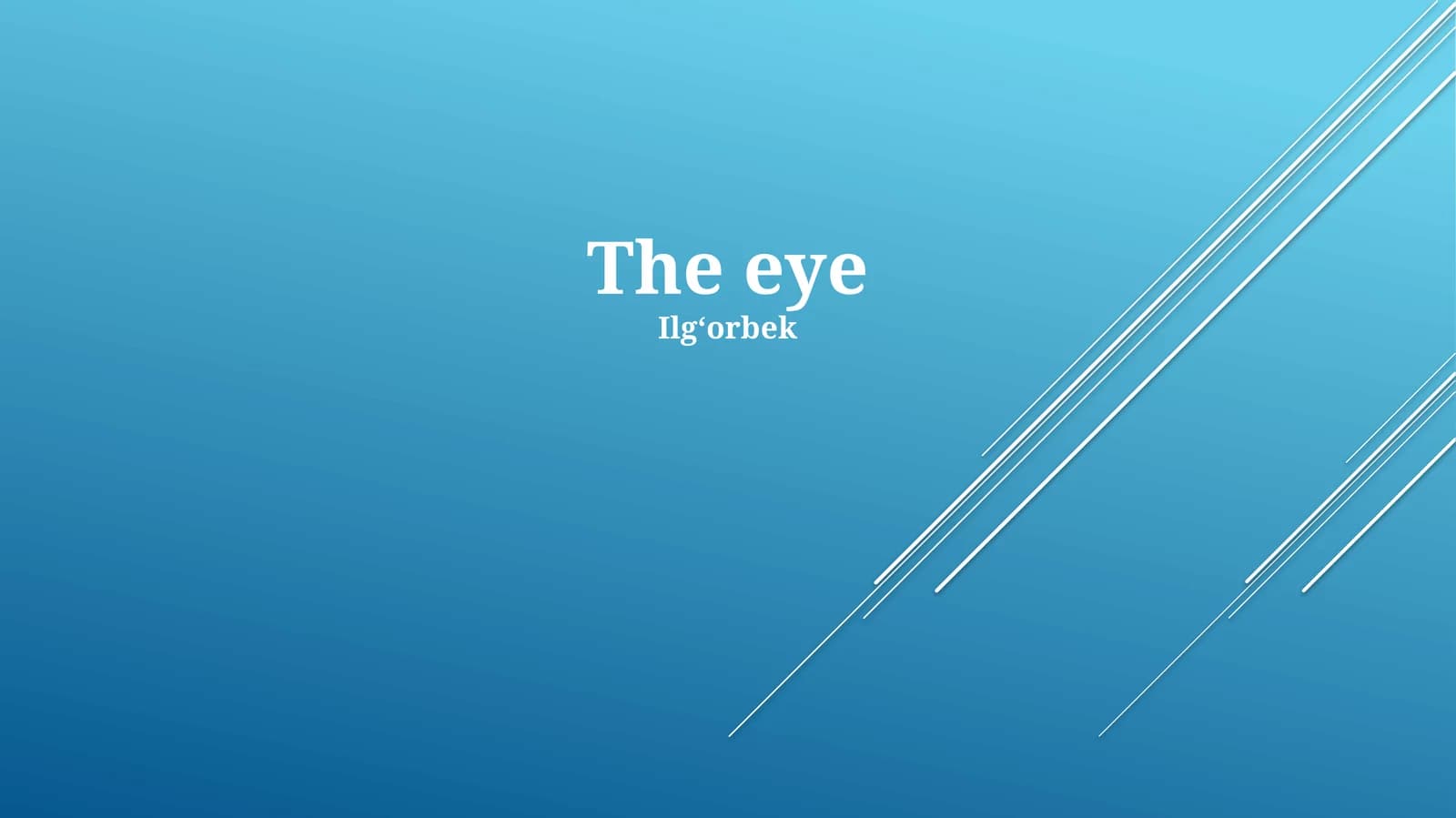 The eye