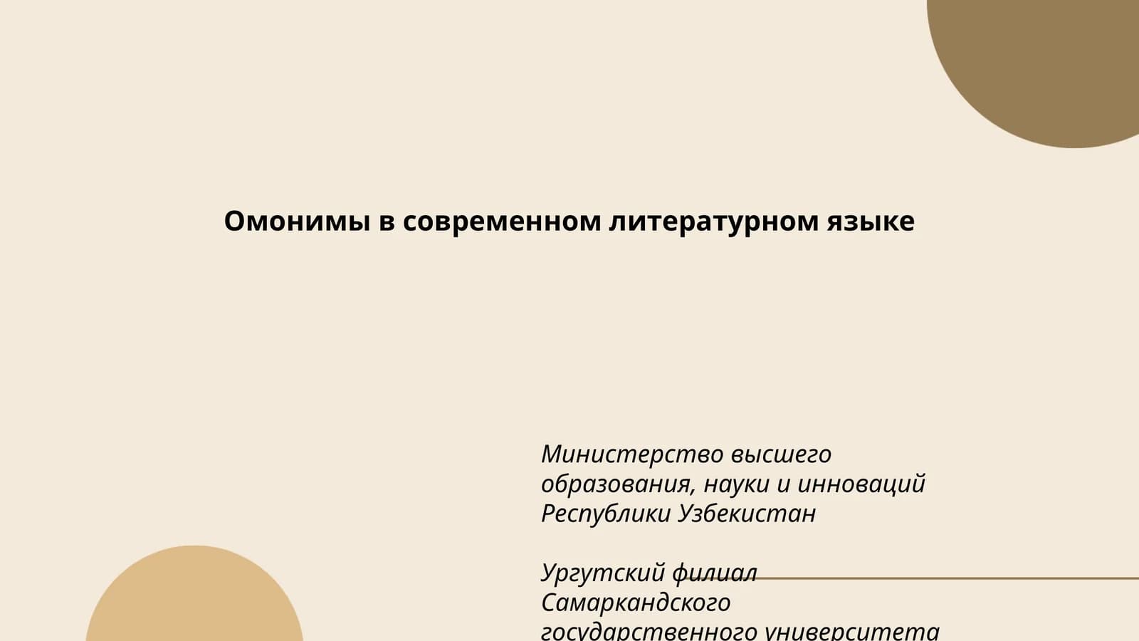 Омонимы в современном литературном языке