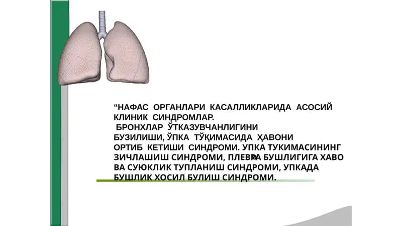 Нафас  системаси  касалликларидаги  асосий  клиник  синдромлар