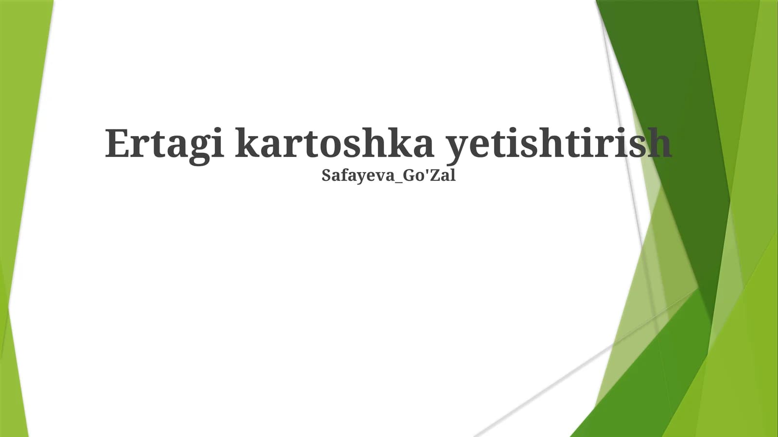 Kartoshka Yetishtirish
