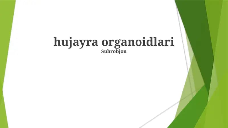 Hujayra Organoidlari