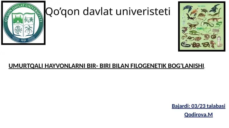 UMURTQALI HAYVONLARNI BIR- BIRI BILAN FILOGENETIK BOG'LANISHI
