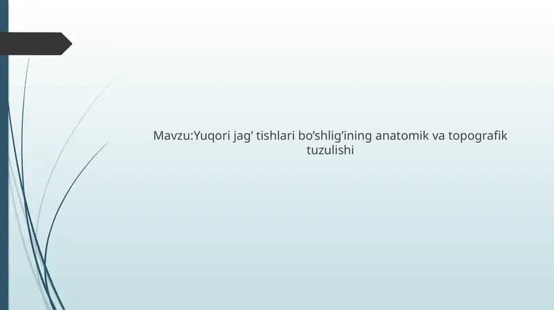 Yuqori jag’ tishlari bo’shlig’ining anatomik va topografik tuzulishi