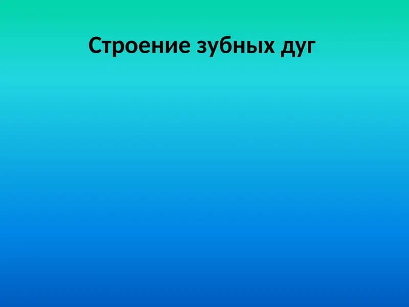 Строение зубных дуг