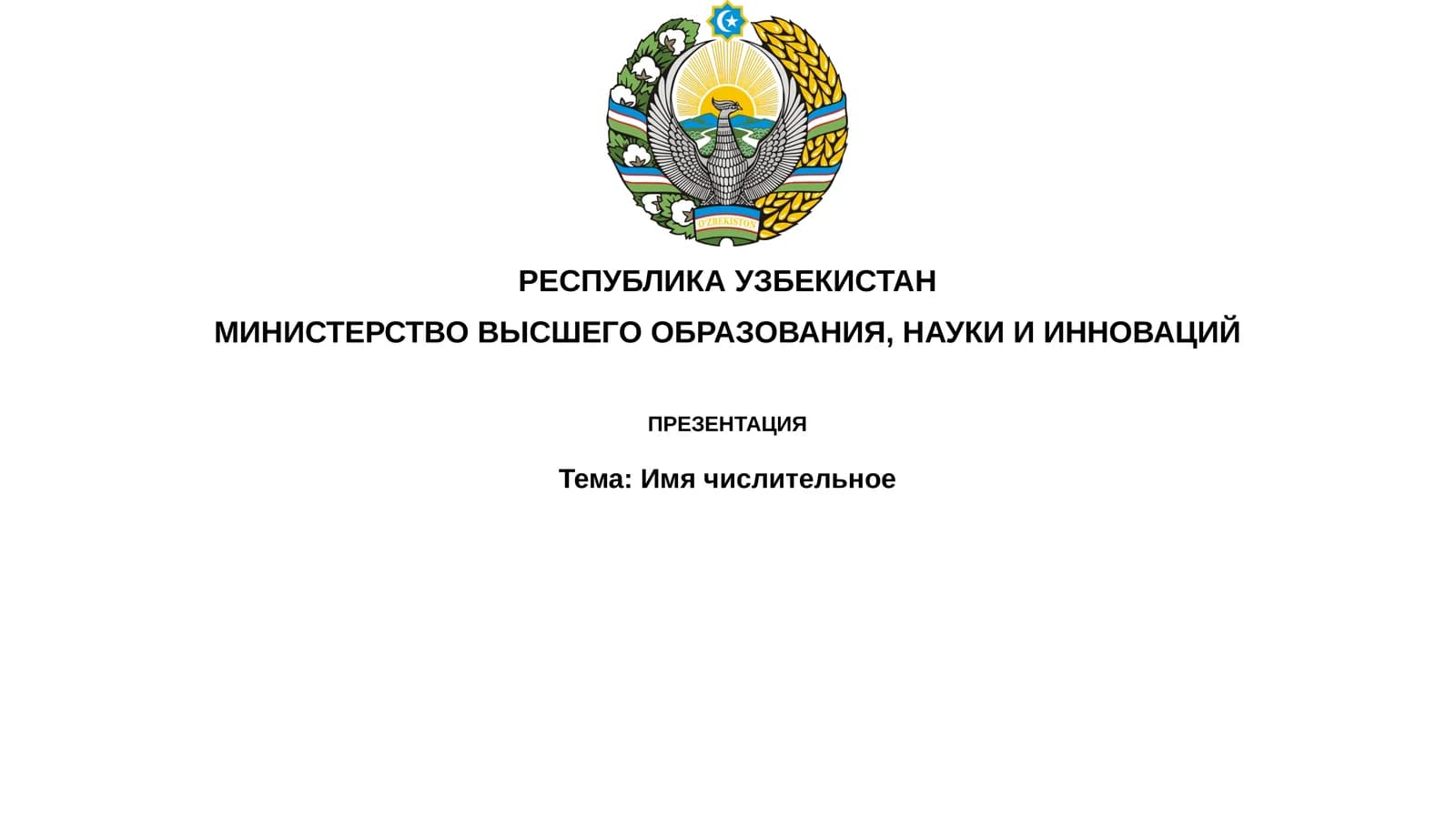 Презентация "Тема:Имячислительное"