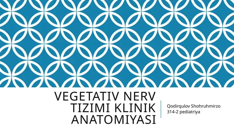 Vegetativ nerv tizimi klinika anatomiyasi