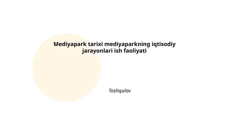 Mediayapark tarixi mediyaparkning iqtisodiy jarayonlari ish faoliyati