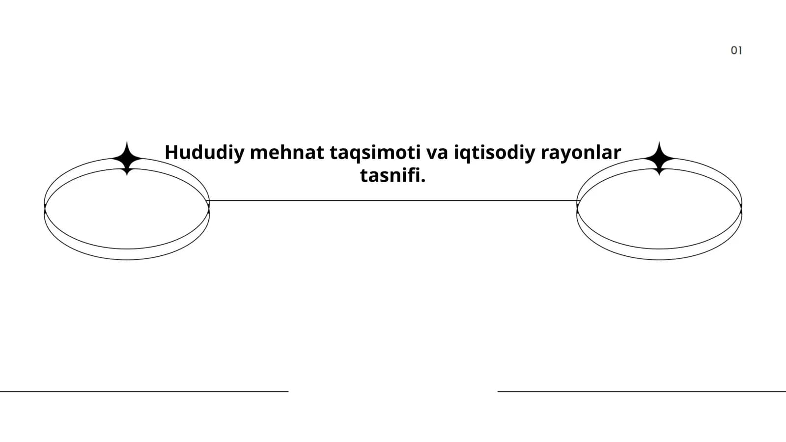 Hududiy mehnat taqsimoti va iqtisodiy rayonlar tasnifi