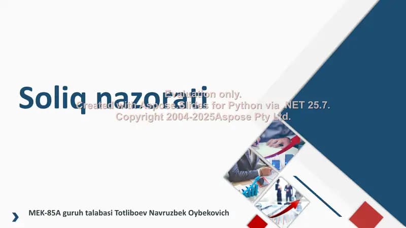 Soliq nazorati