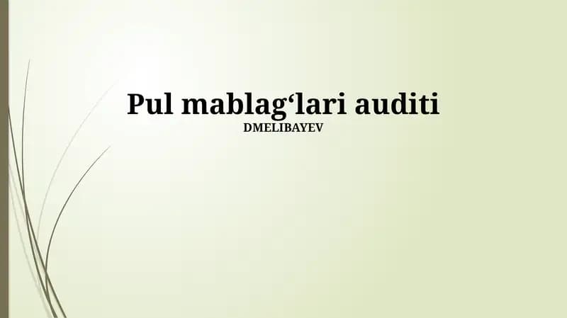 Pul mablagʻlari auditi