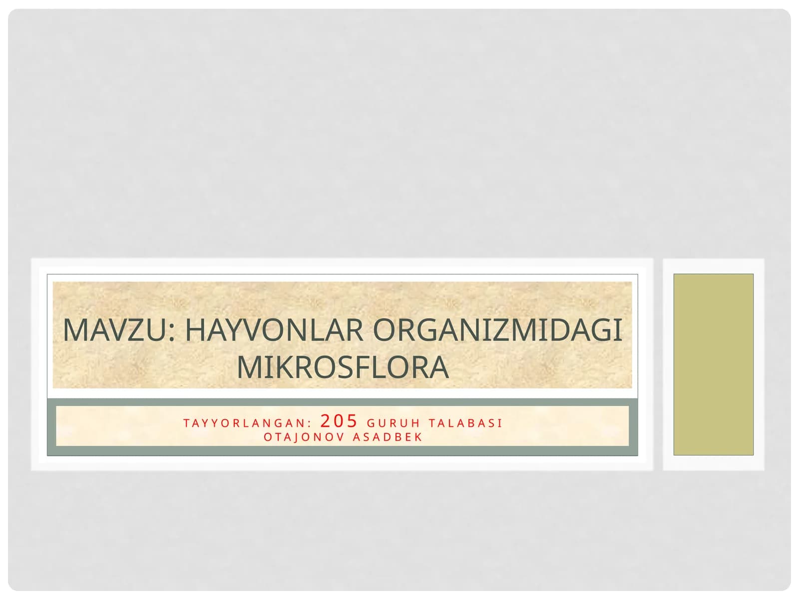 HAYVON ORGANIZMIDAGI MIKROFLORAGA TASNIF