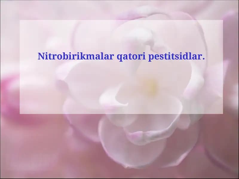 Alifatik nitrobirikmalar