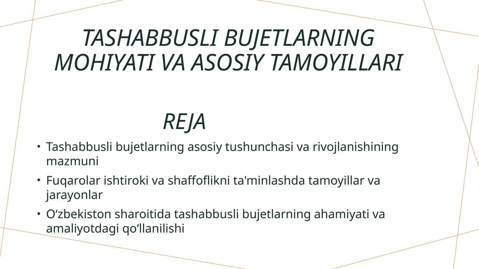 Tashabbusli bujetlarning asosiy tushunchasi va rivojlanishining mazmuni