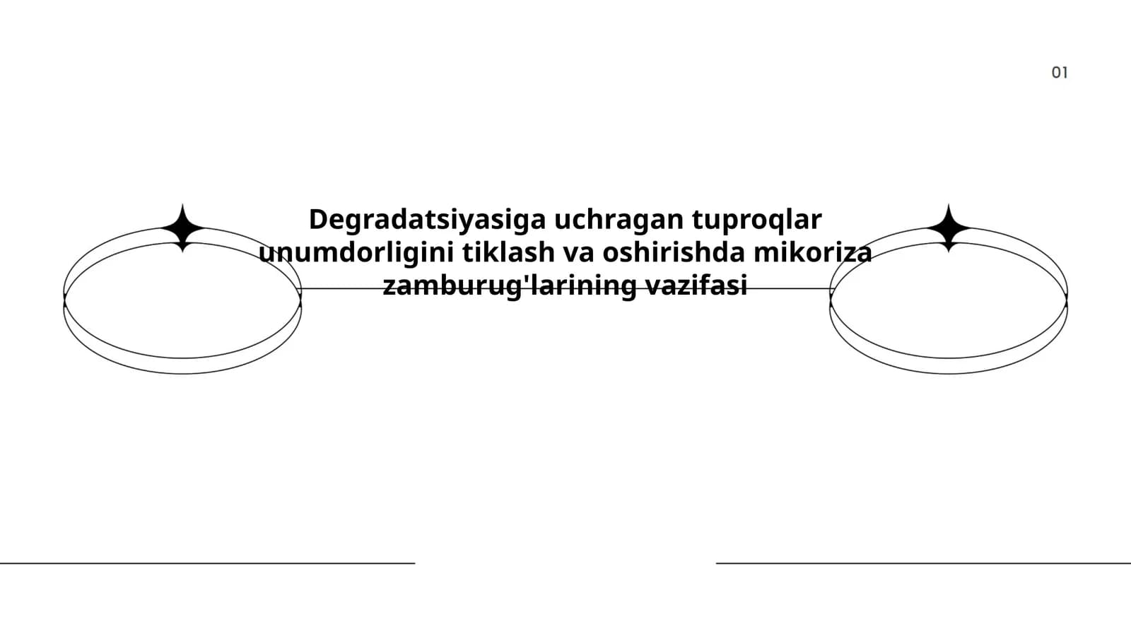 Mikoriza zamburug'larining vazifasi