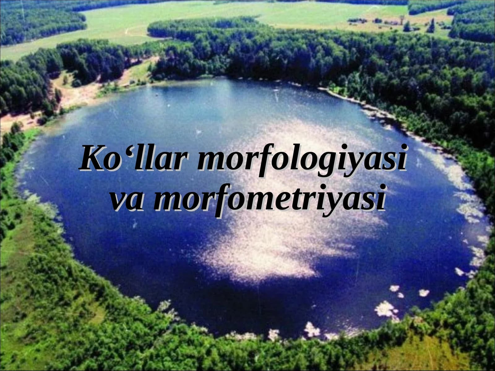 Ko‘llar morfologiyasi va morfometriyasi