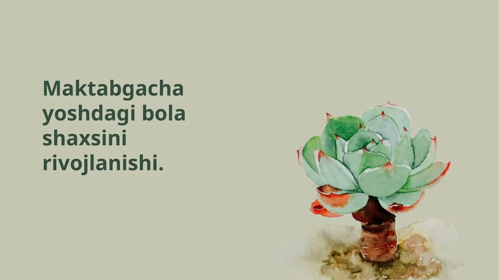 Maktabgacha yoshdagi bola shaxsini rivojlanishi