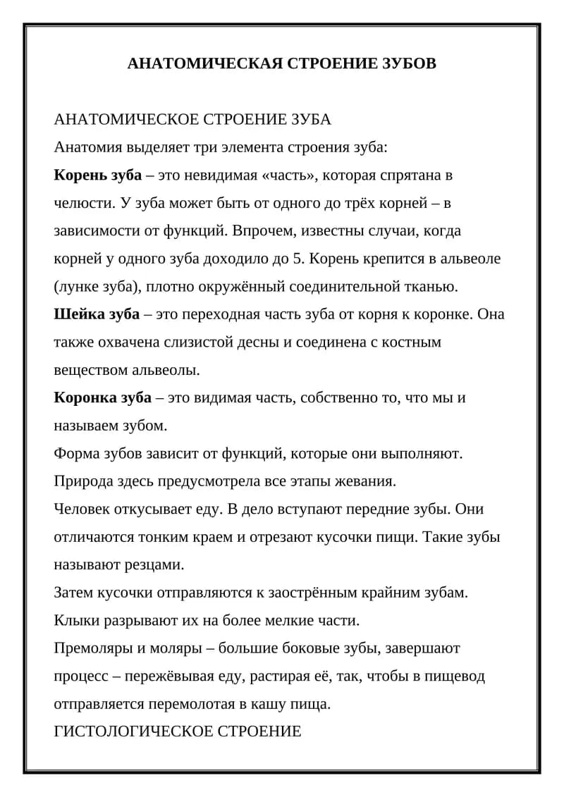 АНАТОМИЧЕСКОЕ СТРОЕНИЕ ЗУБОВ