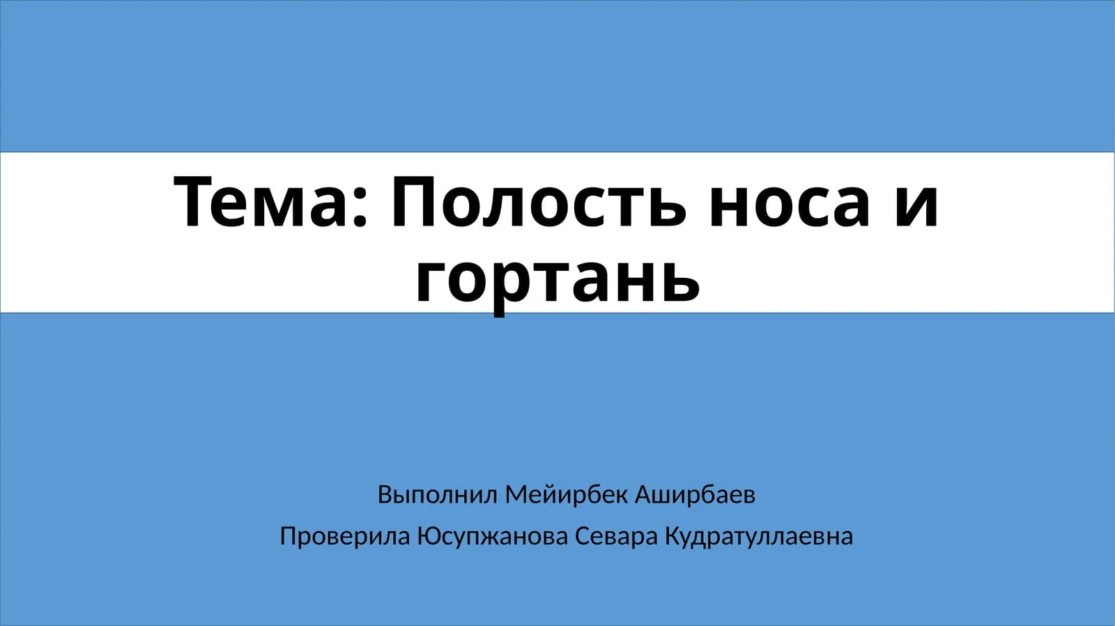 Полость носа и гортань