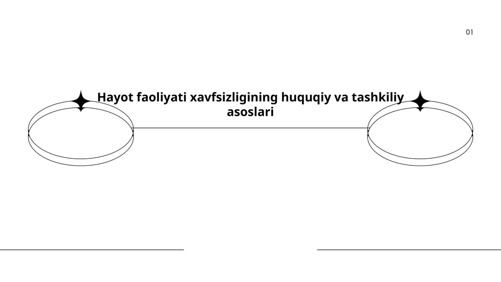 Hayot Faoliyati Xavfsizligining Huquqiy va Tashkiliy Asoslari