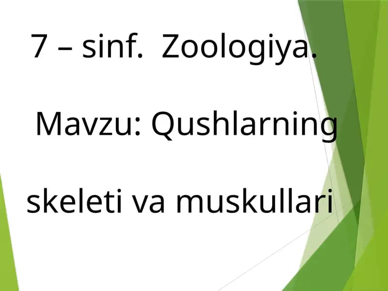 Qushlarning skeleti va muskullari
