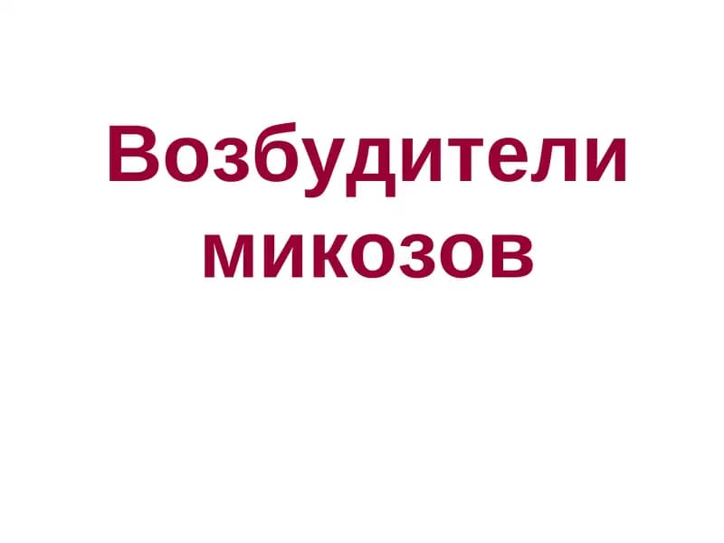 Возбудители микозов