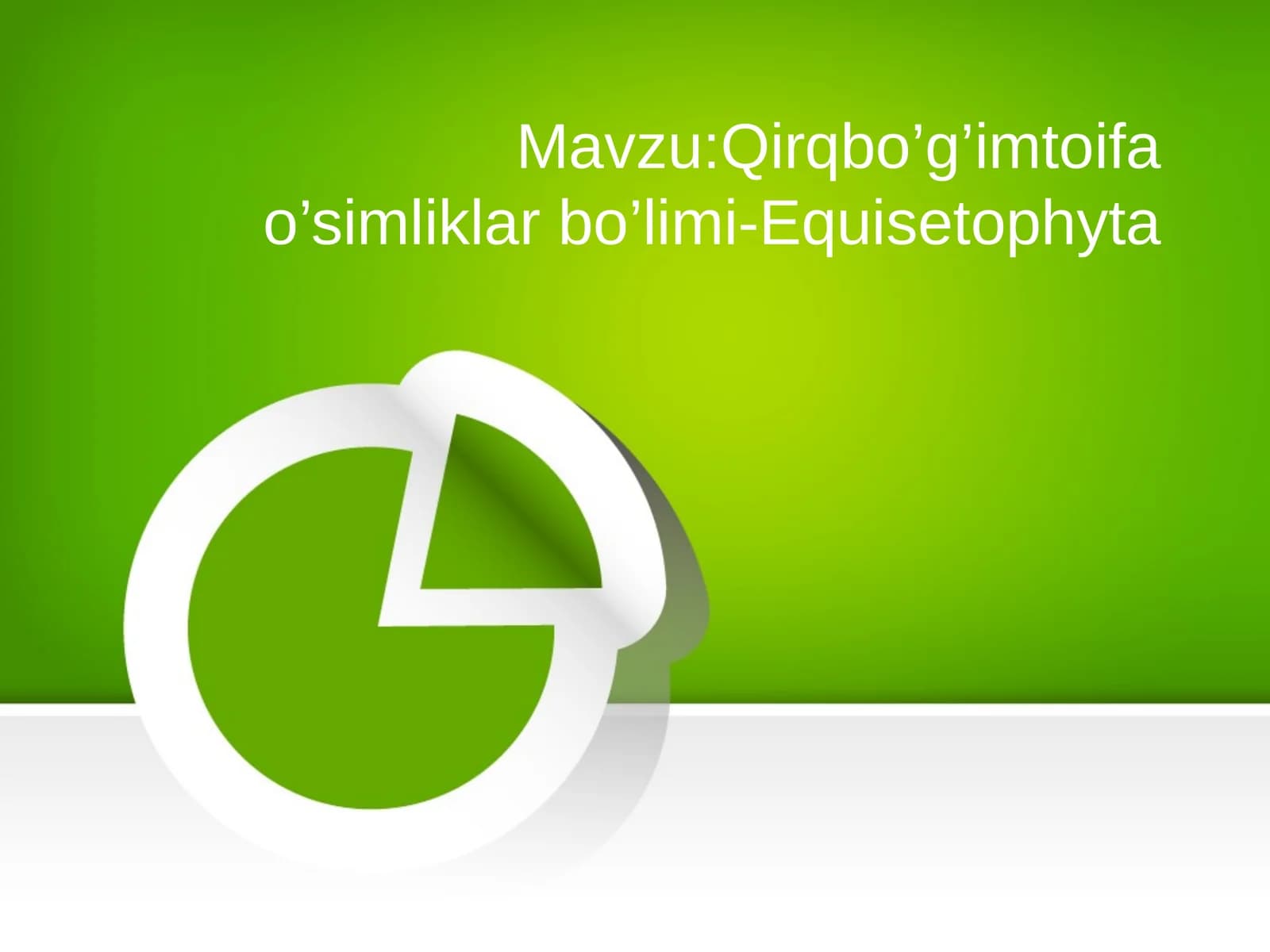 Qirqbo’g’imtoifa o’simliklar bo’limi-Equisetophyta