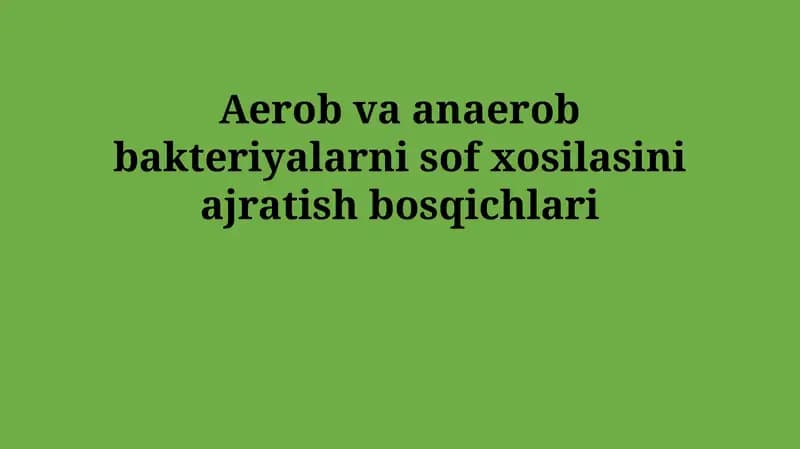 Aerob va anaerob bakteriyalarni sof xosilasini ajratish bosqichlari