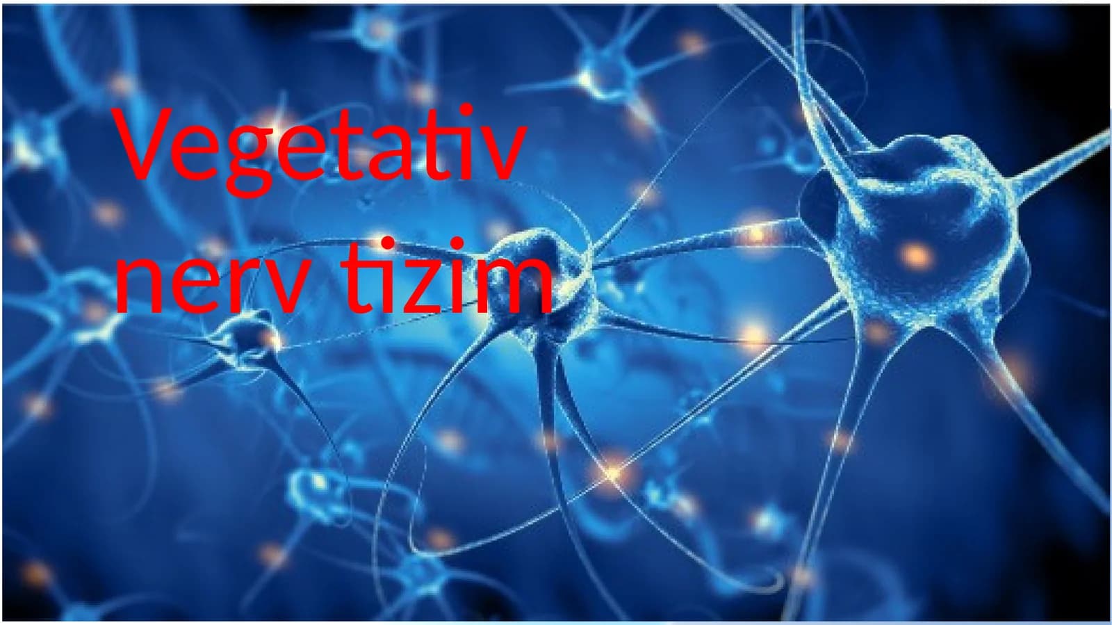 Vegetativ nerv tizimi