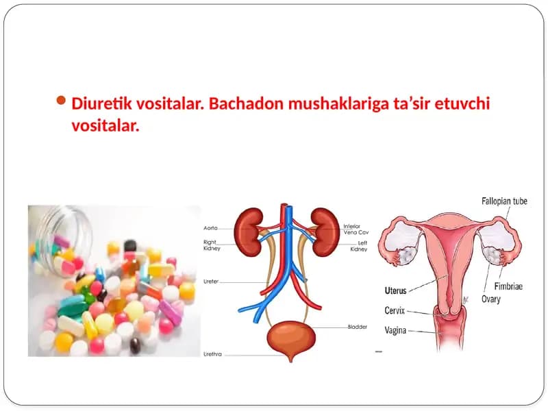 Diuretik vositalar va bachadon mushaklarini qisqartiruvchi vositalar