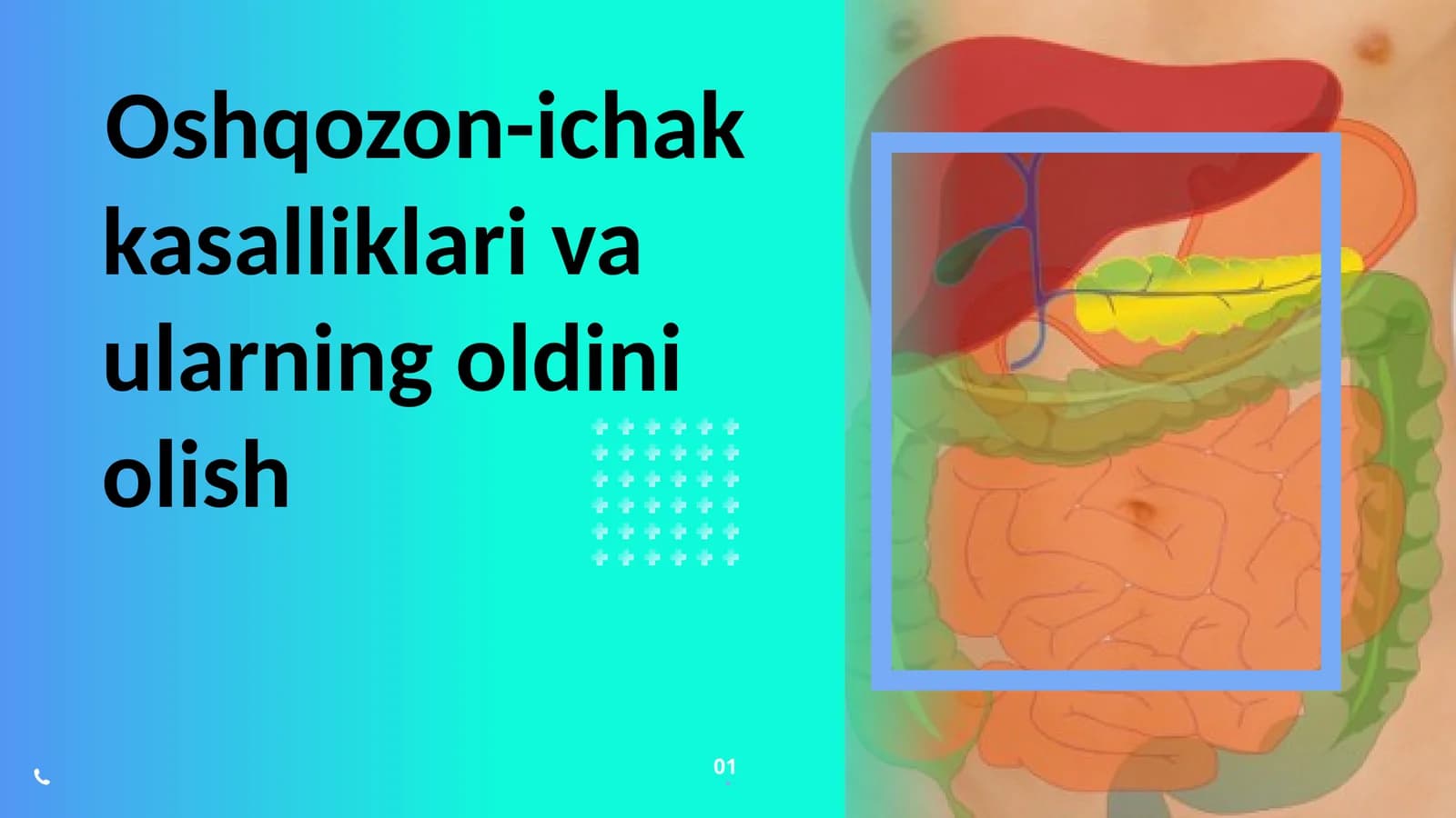 Oshqozon ichak kasalliklari va ularning oldini olish