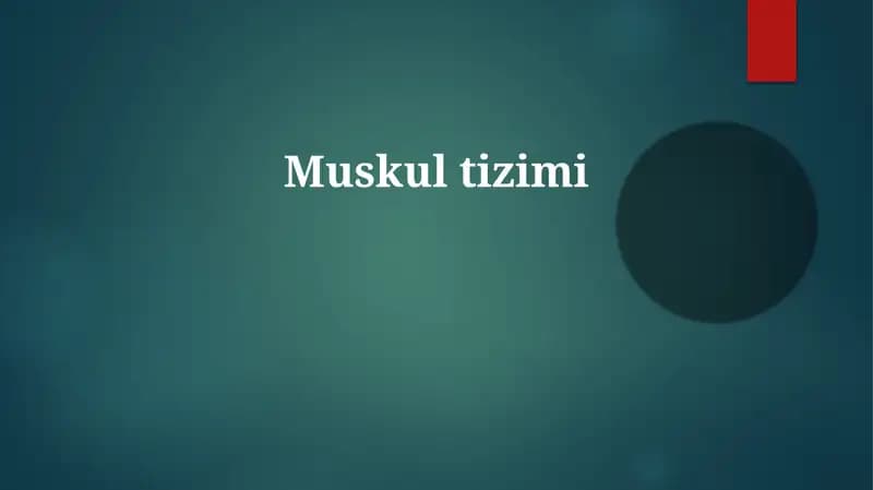Muskultizimi